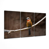 Bee-eater Glass Art | Insigne Art Design