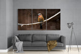 Bee-eater Glass Art | Insigne Art Design