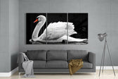 Swan Glass Art.