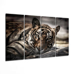 Tiger 4 Pieces Mega Glass Wall Art (59"x36") | Insigne Art Design.