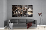 Tiger 4 Pieces Mega Glass Wall Art (59"x36") | Insigne Art Design