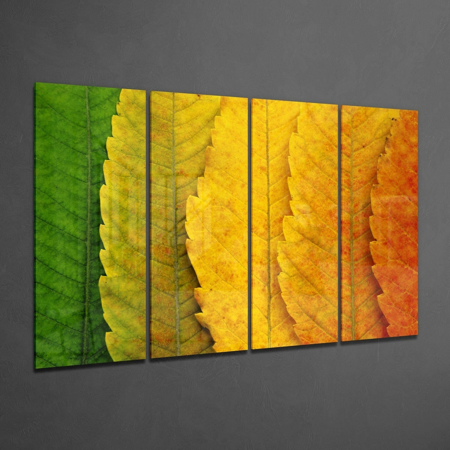 Autumn Leaves 4 Pieces Mega Glass Wall Art (59"x36") | Insigne Art Design.