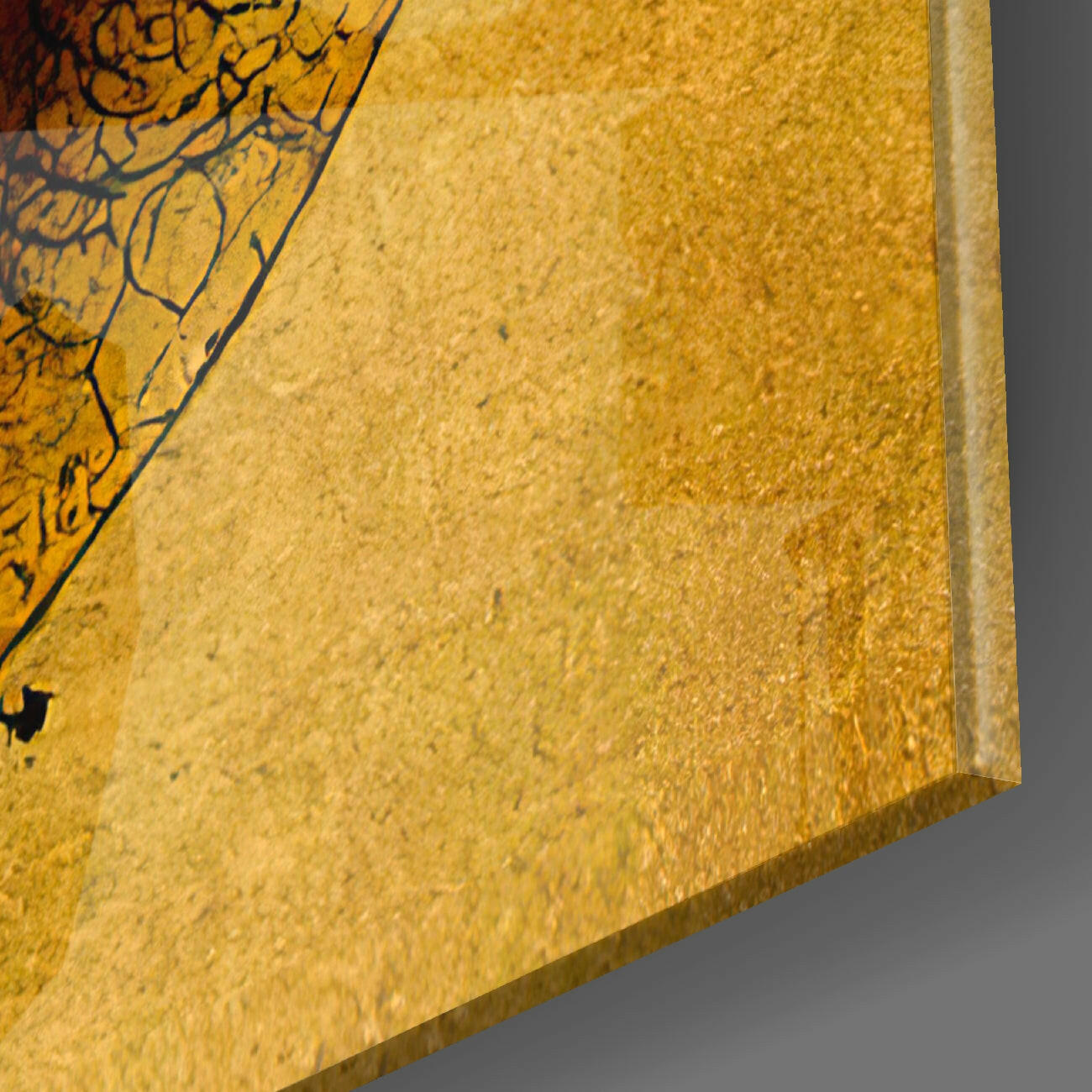 Circles Glass Wall Art  || Designers Collection.