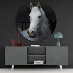 Horse Glass Wall Art.