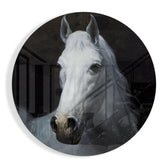 Horse Glass Wall Art.