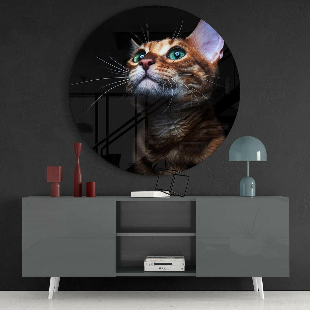 Cat Glass Wall Art.