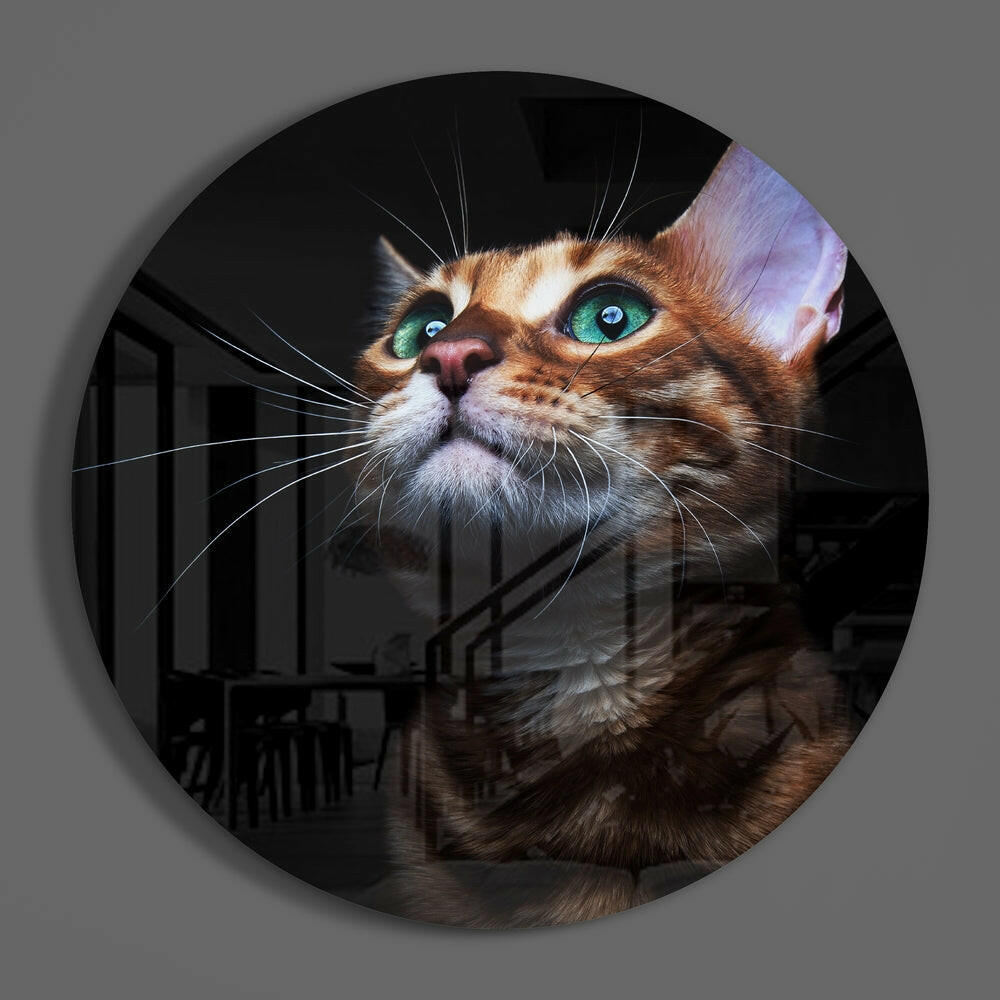 Cat Glass Wall Art.