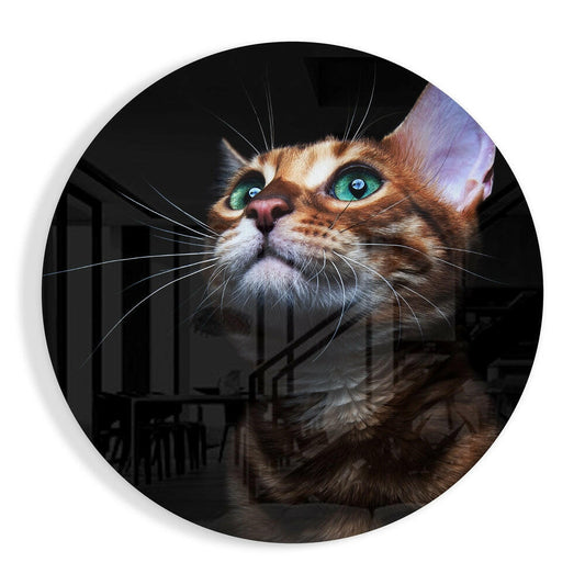 Cat Glass Wall Art.
