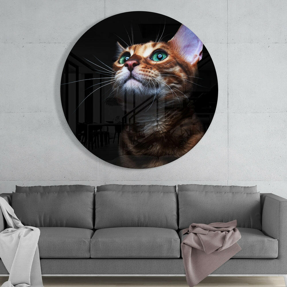 Cat Glass Wall Art.