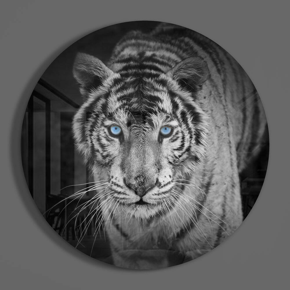 Tiger Glass Wall Art.