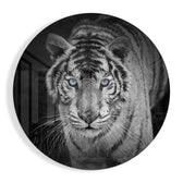 Tiger Glass Wall Art.