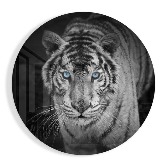 Tiger Glass Wall Art.