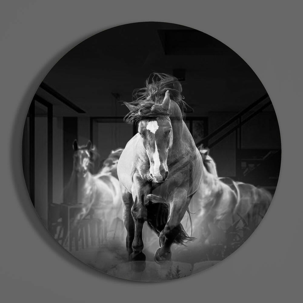 Horses Glass Wall Art.