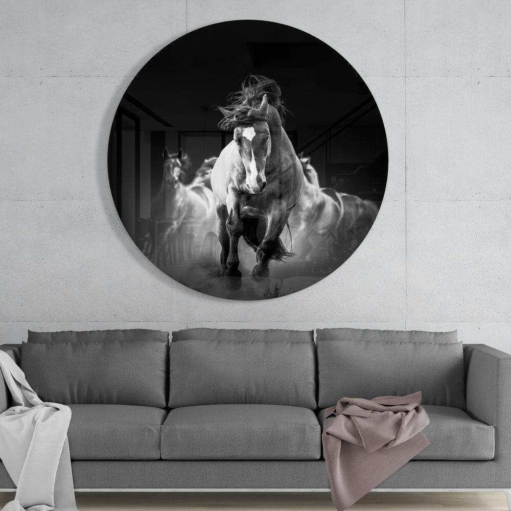 Horses Glass Wall Art.