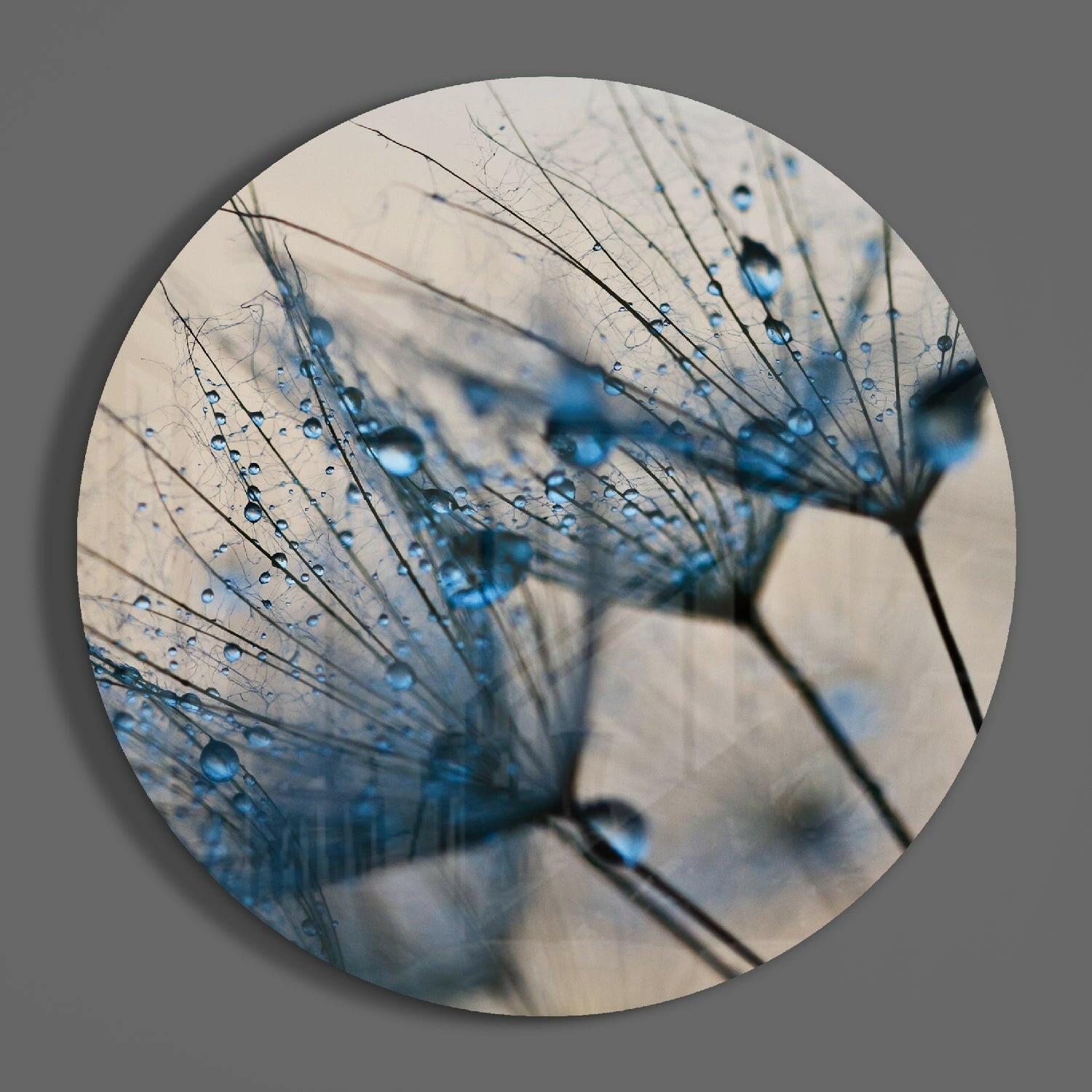 Dandelion Glass Wall Art.