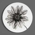 Flower Glass Wall Art.