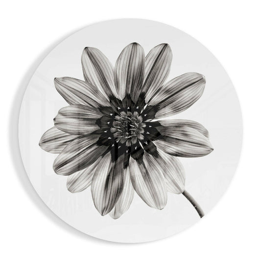 Flower Glass Wall Art.