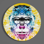 Philosopher Gorilla Glass Wall Art.