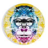 Philosopher Gorilla Glass Wall Art.