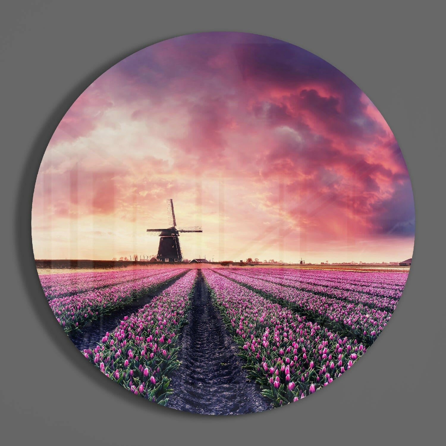 Tulip Garden Glass Wall Art.