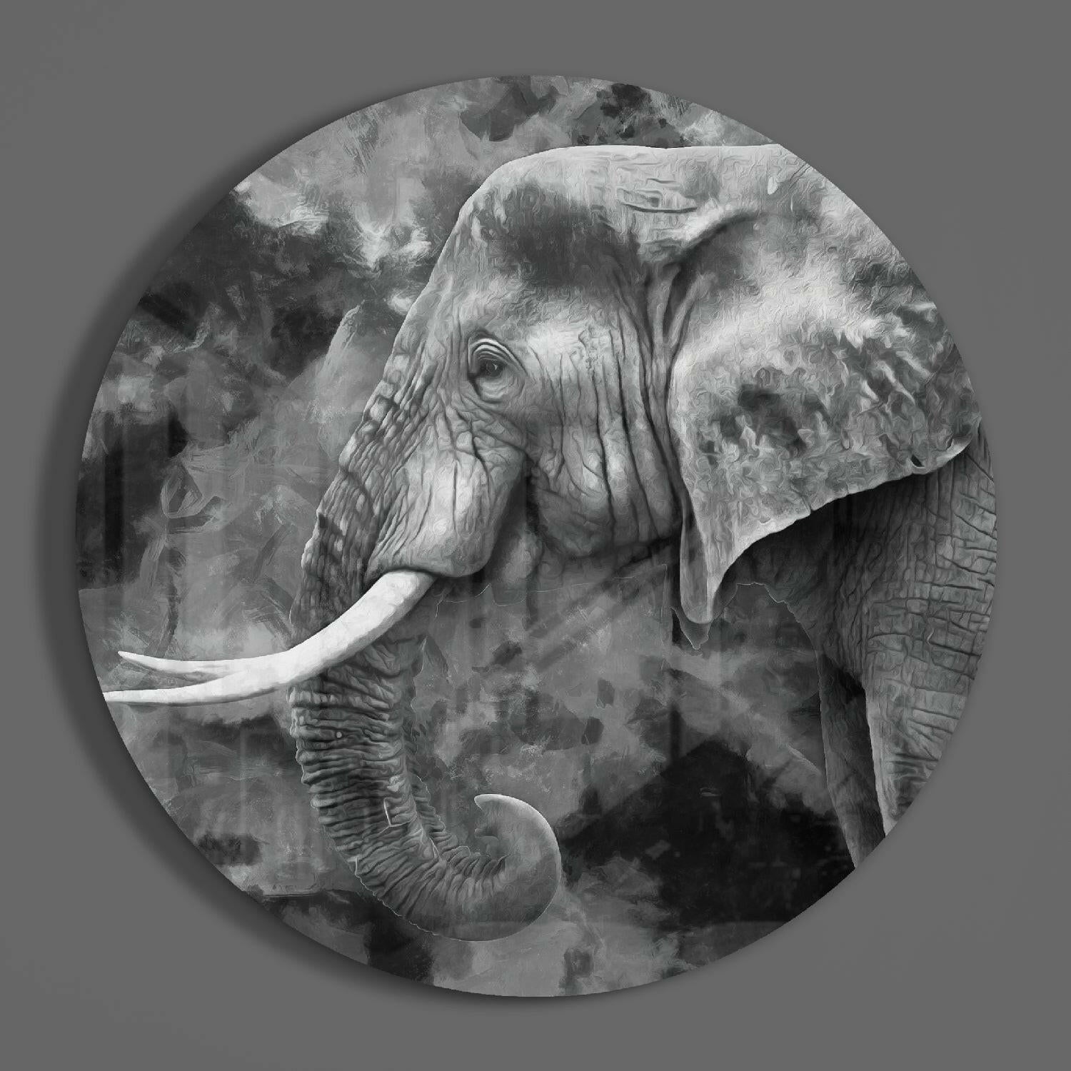 Elephant Glass Wall Art.