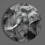 Elephant Glass Wall Art.