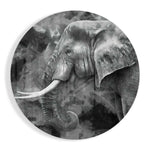 Elephant Glass Wall Art.