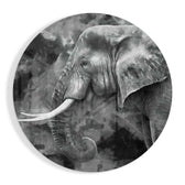Elephant Glass Wall Art.