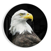 Eagle Glass Wall Art.
