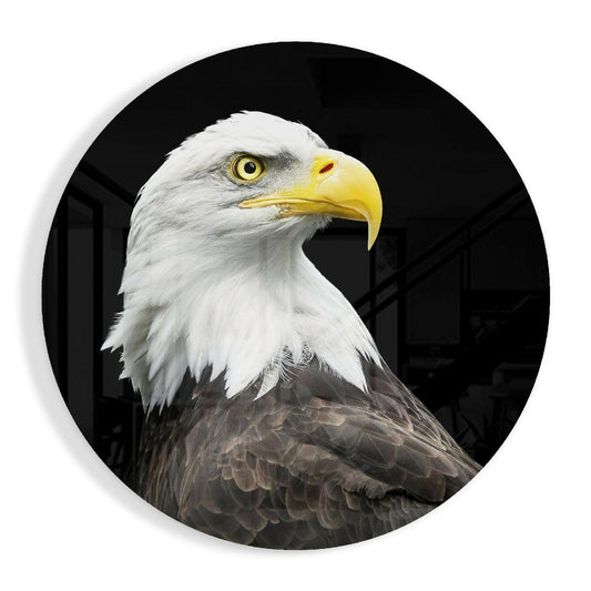 Eagle Glass Wall Art.