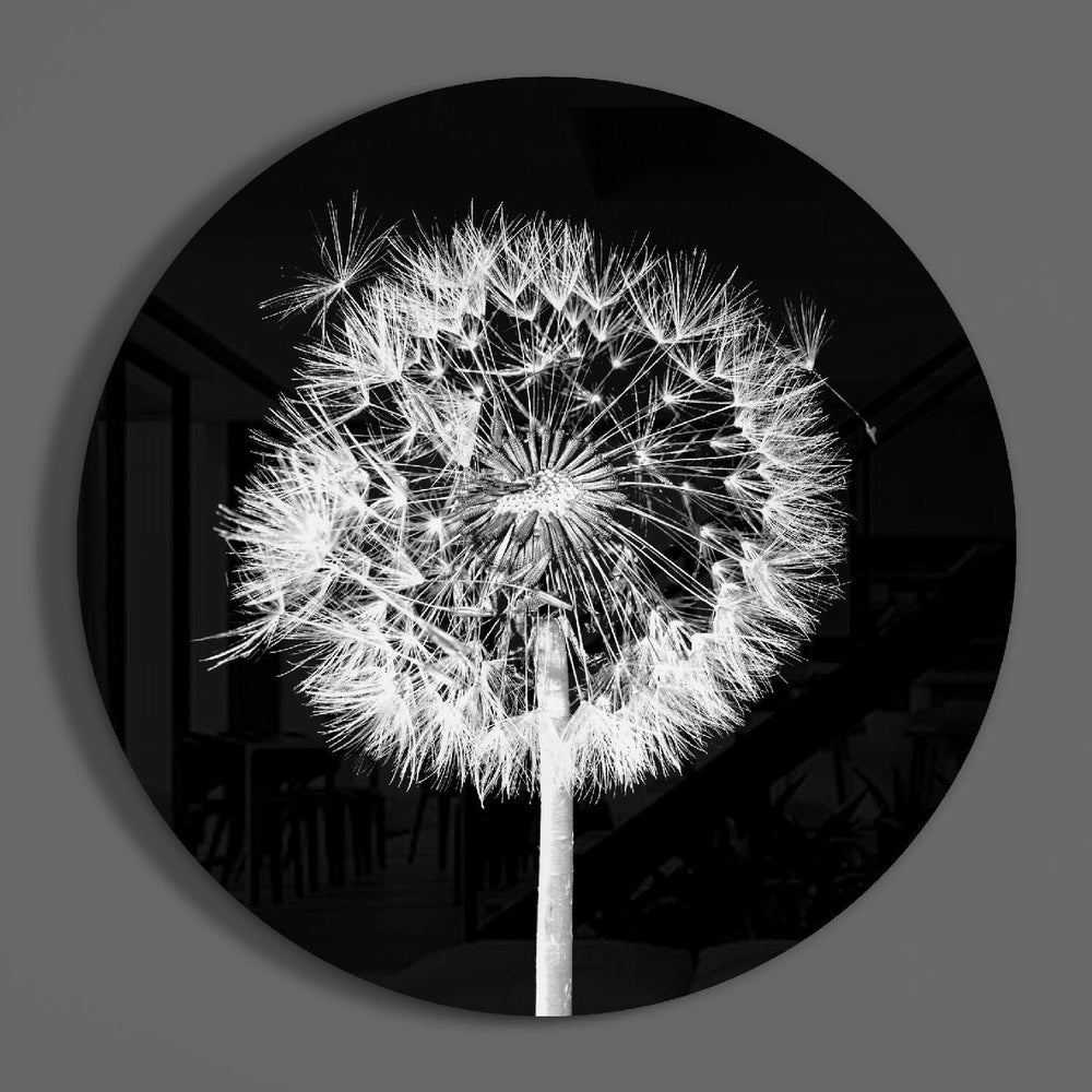 Dandelion Glass Wall Art.