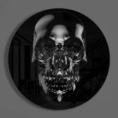 Skull Glass Wall Art.