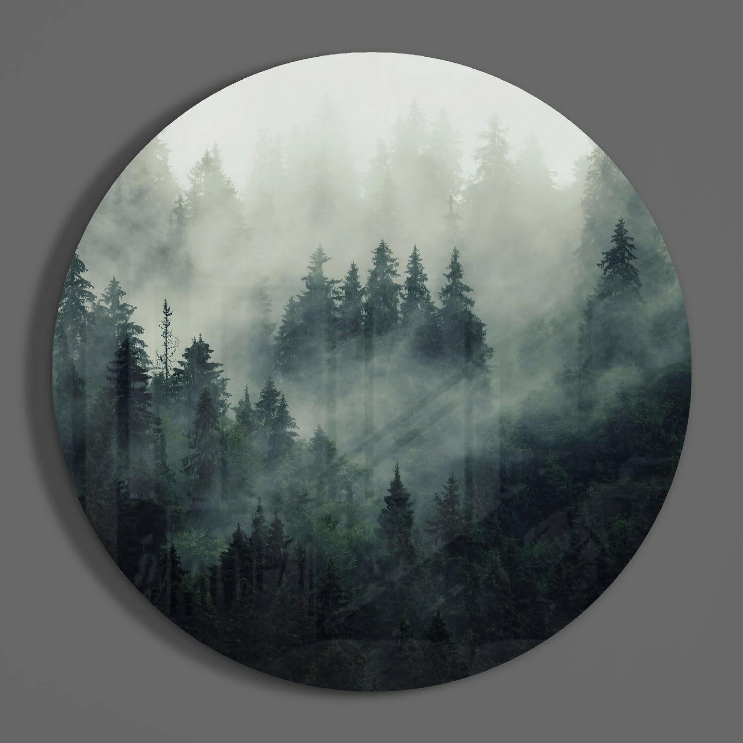 Foggy Forest Glass Wall Art.