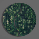 Green Forest Glass Wall Art.
