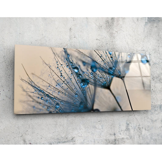 Macro Dandelion Glass Wall Art (36"x14").