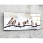 Birds Glass Wall Art (36"x14").