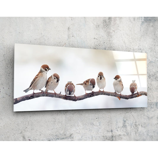 Birds Glass Wall Art (36"x14").