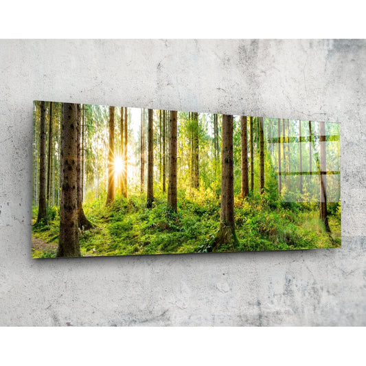 Forest Glass Wall Art (36"x14").