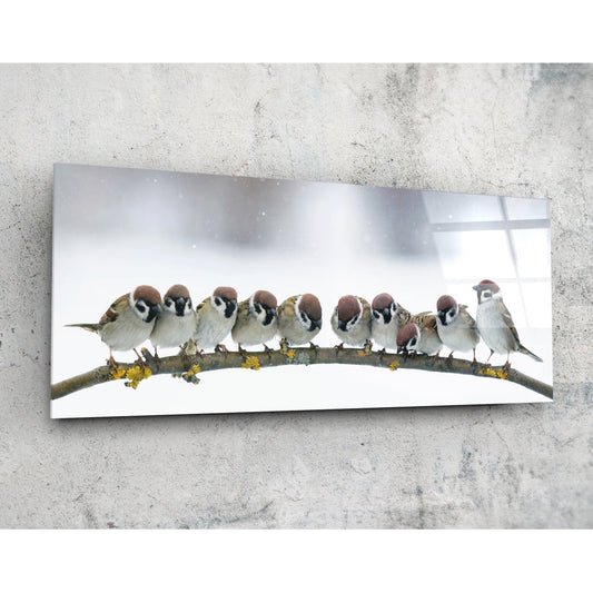 Birds Glass Wall Art (36"x14").