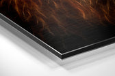 Lion Brushed Aluminium Dibond Wall Art.