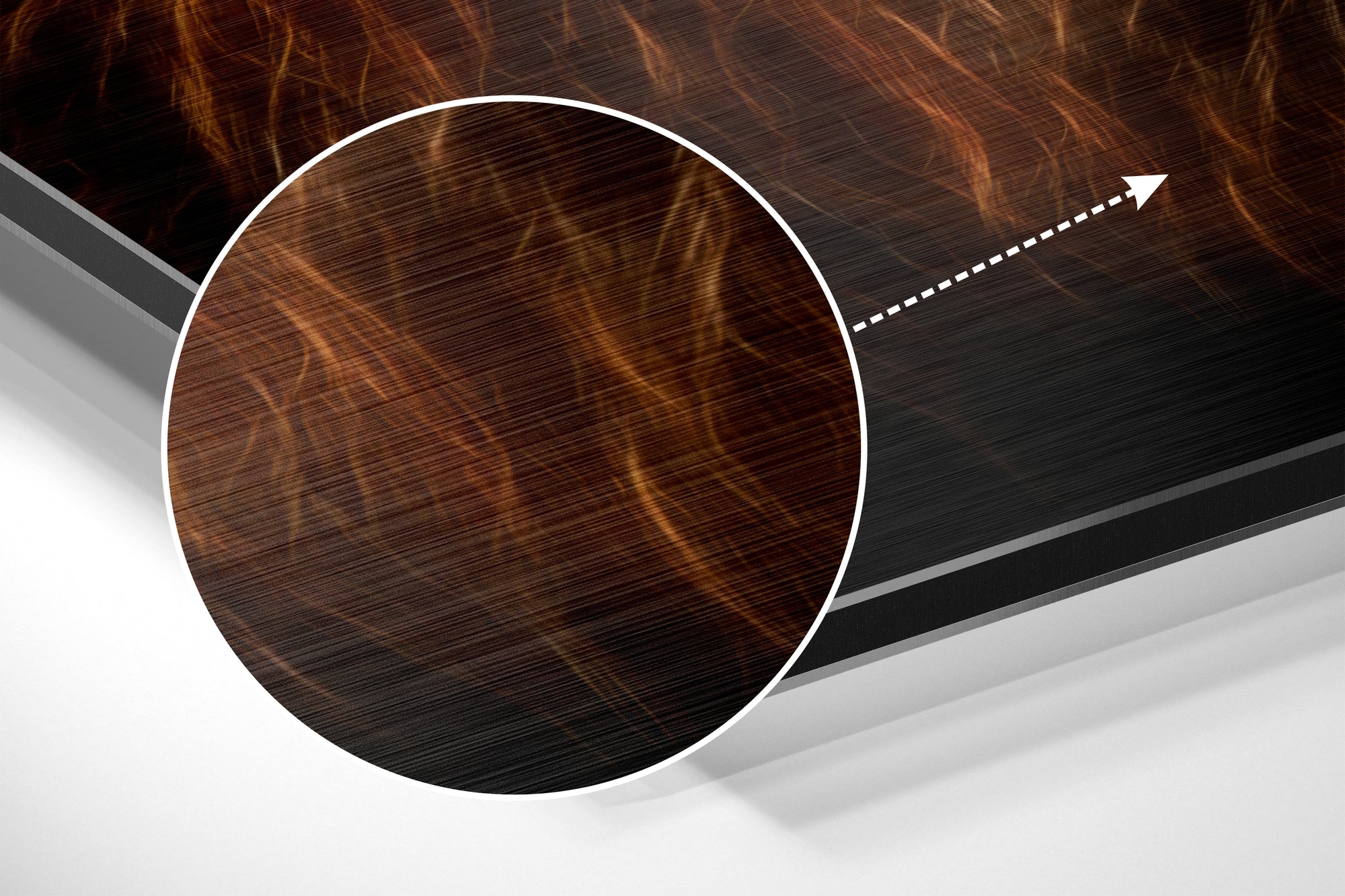 Lion Brushed Aluminium Dibond Wall Art.