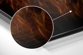 Lion Brushed Aluminium Dibond Wall Art.