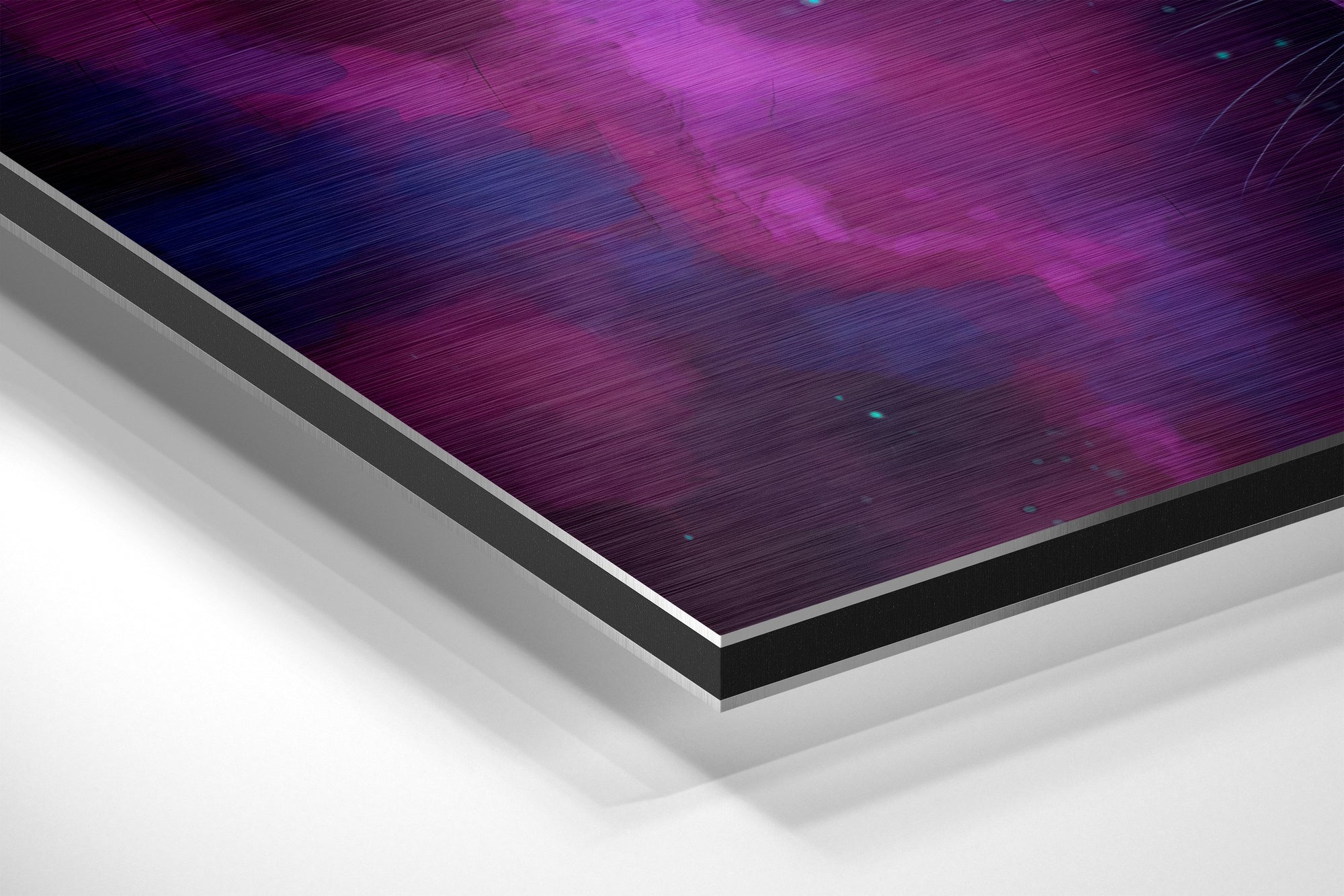 Lion Brushed Aluminium Dibond Wall Art.