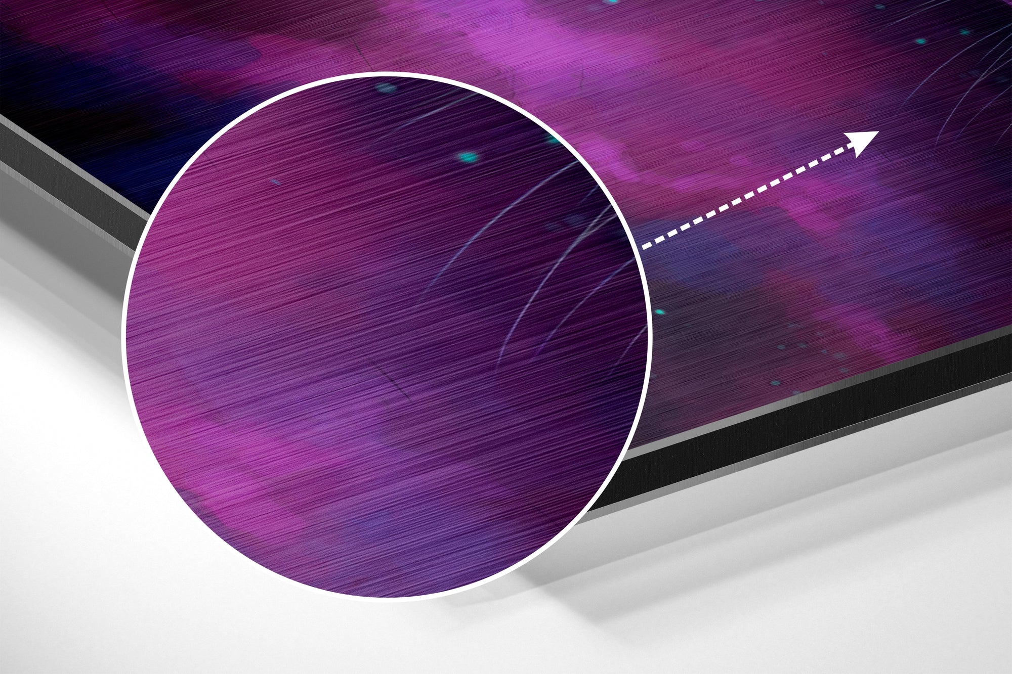 Lion Brushed Aluminium Dibond Wall Art.