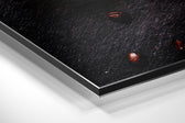 Coffee Brushed Aluminium Dibond Wall Art.