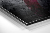 Brushed Aluminium Dibond Wall Art