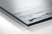 Marilyn Brushed Aluminium Dibond Wall Art.