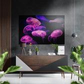 Brushed Aluminium Dibond Wall Art.