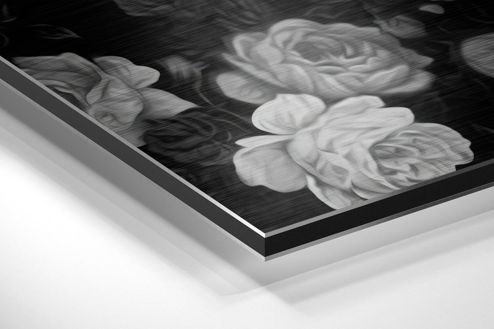Skull Brushed Aluminium Dibond Wall Art.