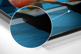 Carolina Panthers Brushed Aluminium Dibond Wall Art.